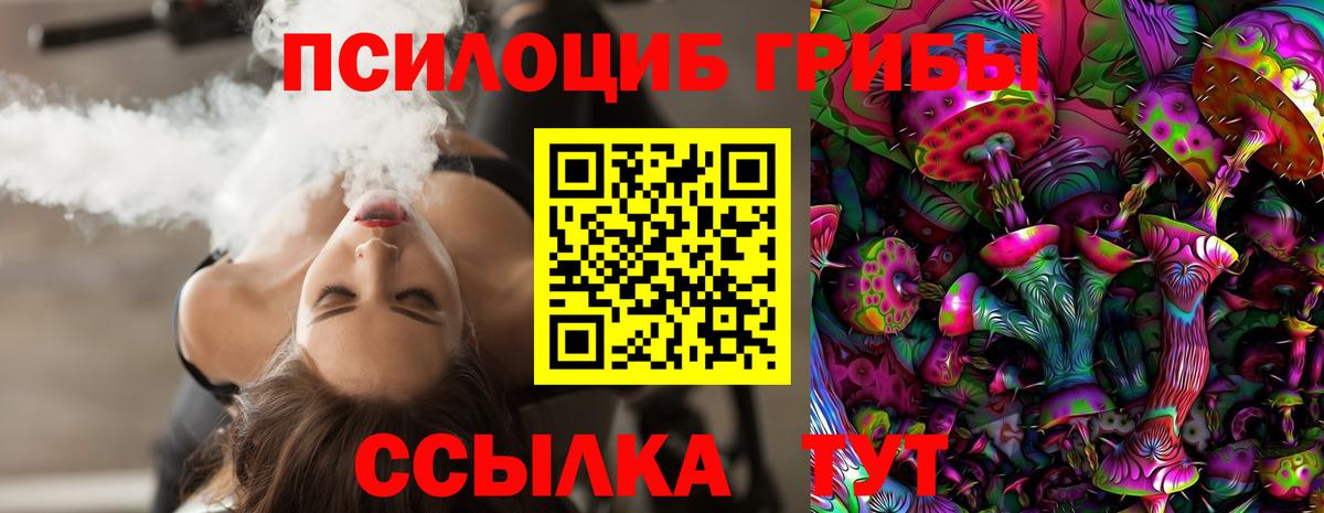 Видное  Псилоцибиновые грибы Psilocybine cubensis  Вход с VPN 