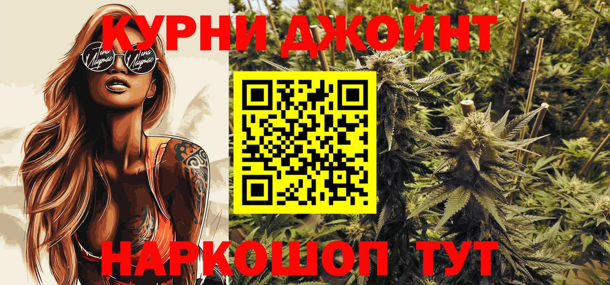 Конопля сатива Видное